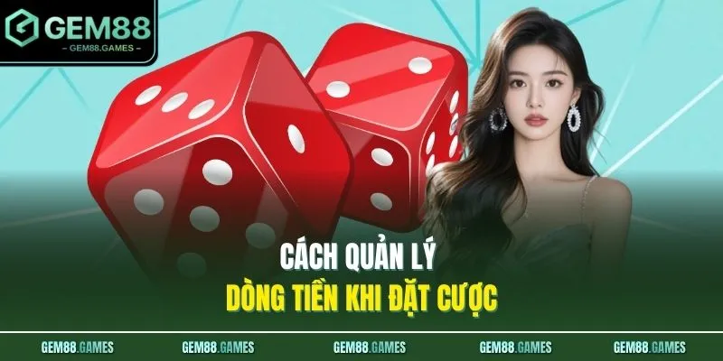 Cách quản lý dòng tiền khi đặt cược