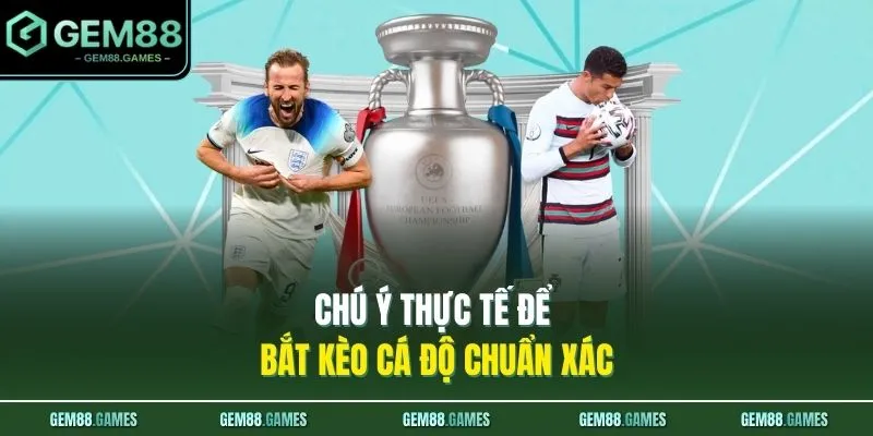 Chú ý thực tế để bắt kèo cá độ chuẩn xác 