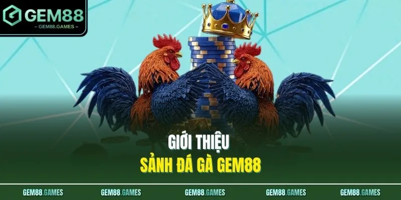 Giới thiệu sảnh đá gà GEM88